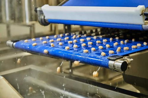 小佩鮮糧新工廠首度揭秘 開啟寵物食品新時代